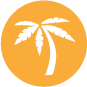 Vacation time in orange featuring a graphic of a palm tree